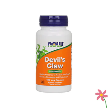 NOW Devil's Claw 500mg 100 Veg Capsules